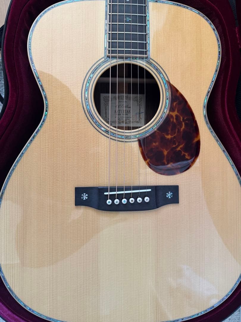 ギター ASTURIAS ec-emblem E.C. エンブレム - ASTURIAS