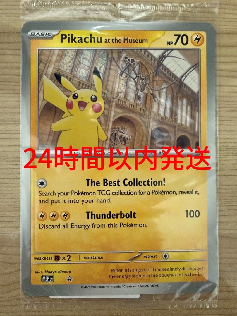 Pikachu at the Museum ピカチュウ ロンドン自然史博物館 - メルカリ