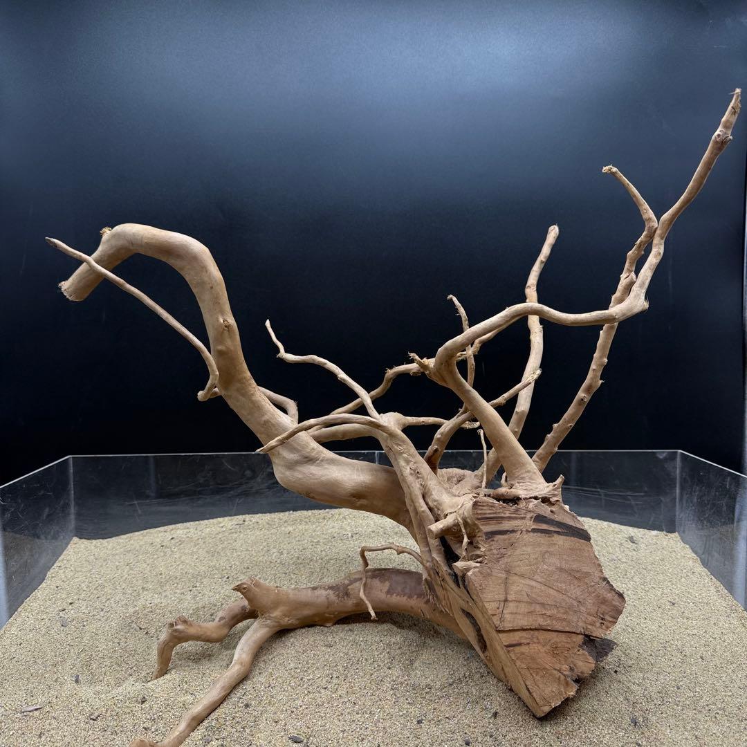 MDW-7146 -7143ブランチウッドレイアウトセット　90cm水槽用流木