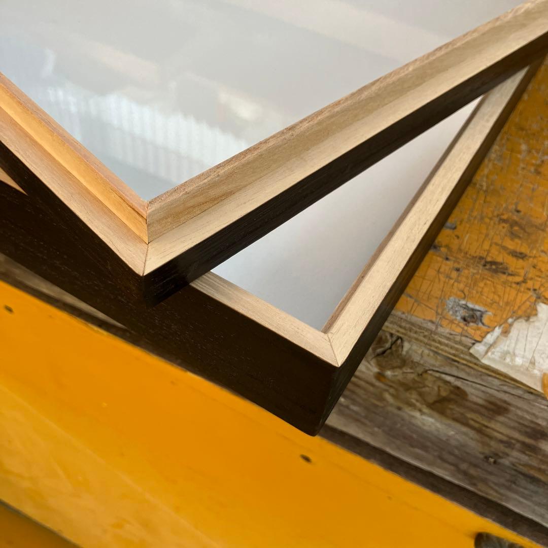 中型標本箱 2箱中型厚型標本箱 2箱 楽天市場】標本箱の通販