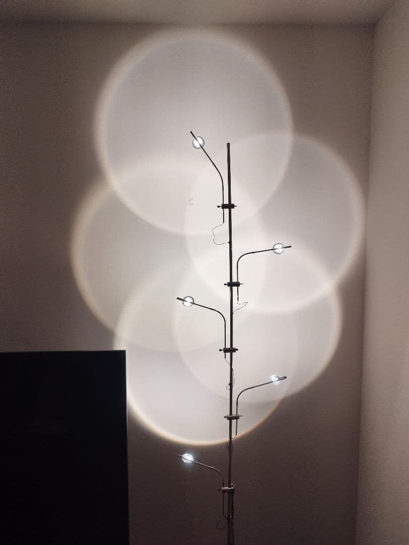 Catellani & Smith カテラーニ＆スミス Wa Wa ワワ 50万 - メルカリ