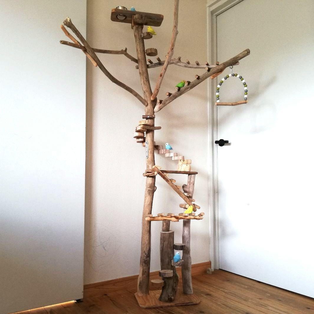バードアスレチックジム大型 ㉟ 天然木 自然木 流木 止まり木 インコ