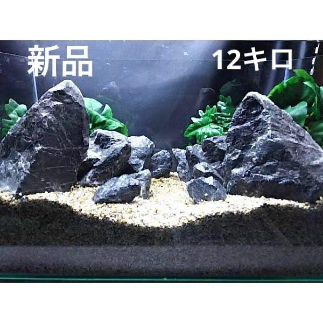 5[新品 親石付]清流石12キロ☆水槽 レイアウト 青龍石 龍王石 気孔石