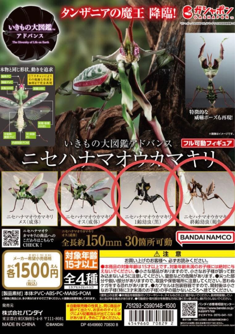 いきもの大図鑑 アドバンス ニセハナマオウカマキリ 3点 - メルカリ