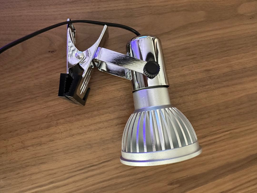 Grassy LeDio RX072e Violet グラッシーレディオ 楽天市場】ボルクスジャパン・Grassy LeDio RX072e Violetグラッシー