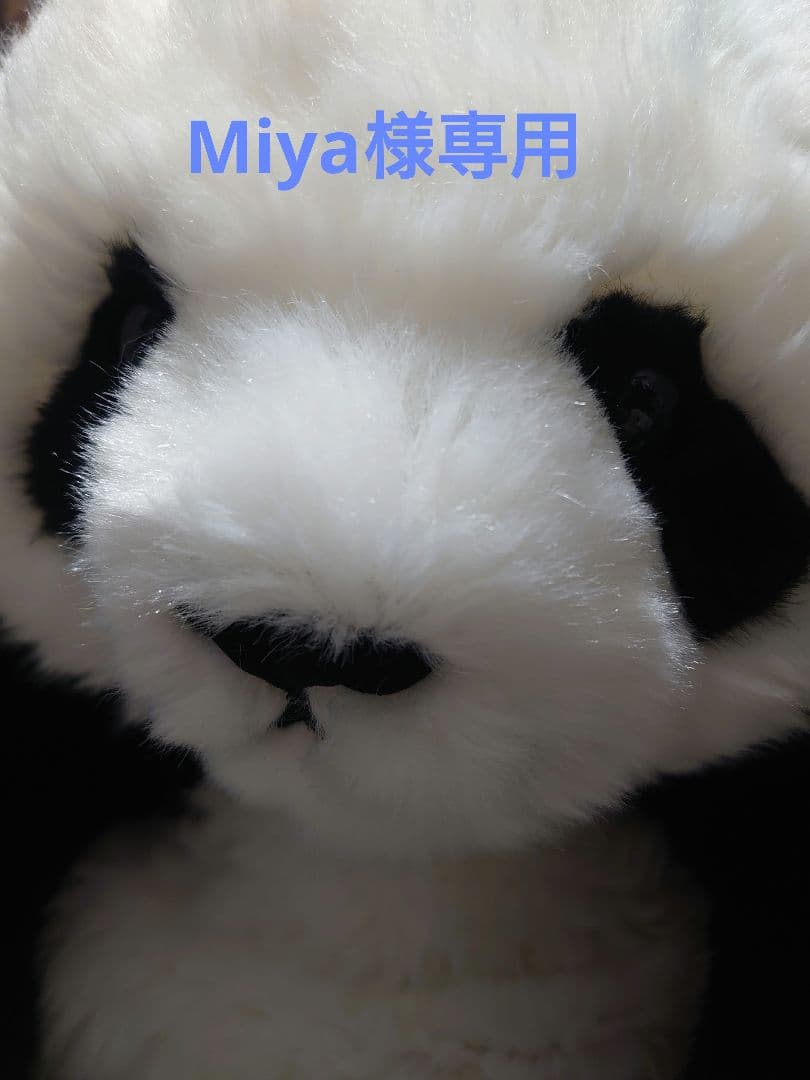 靴 Miya ISSEY MIYAKE x HYPER TAPING