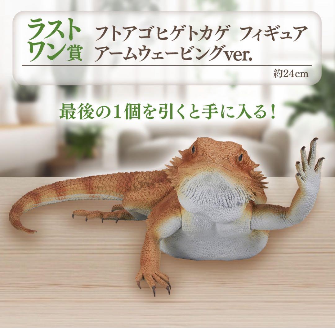 フトアゴヒゲトカゲ フィギュア 一番くじ 爬虫類＆両生類 ラストワン賞