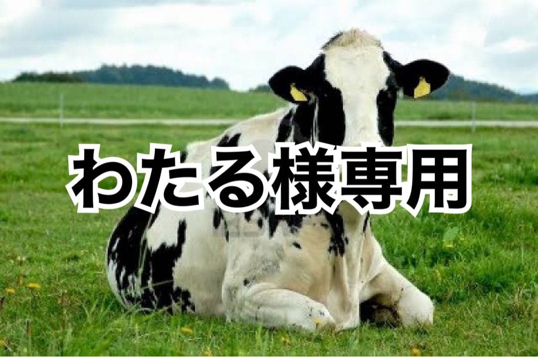 黒10、タン濃10、黒ヘリ10m、チョコへり10m 楽天市場】高カカオチョコレート 砂糖不使用 ダークチョコレート 糖類