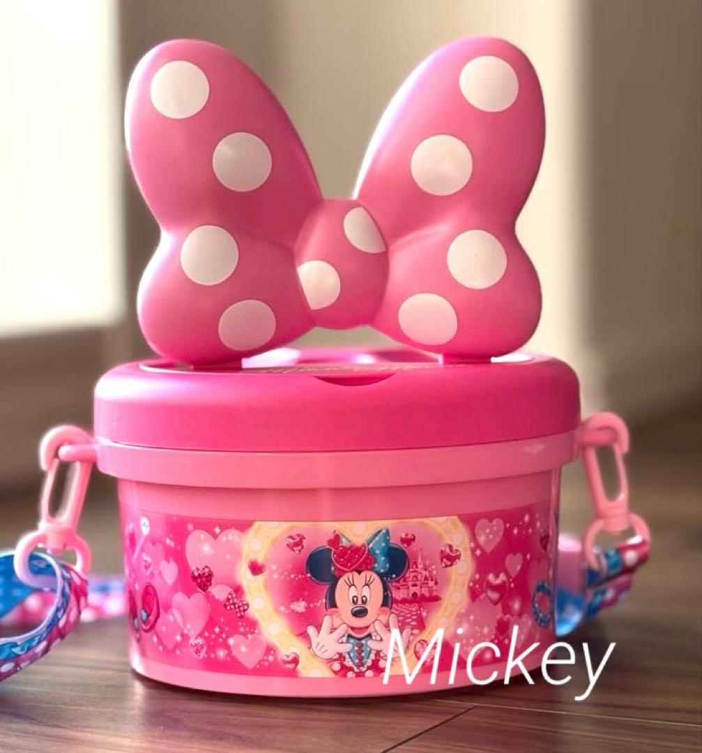 ミニーのファンダーランド パルパルーザ ポップコーンバケット