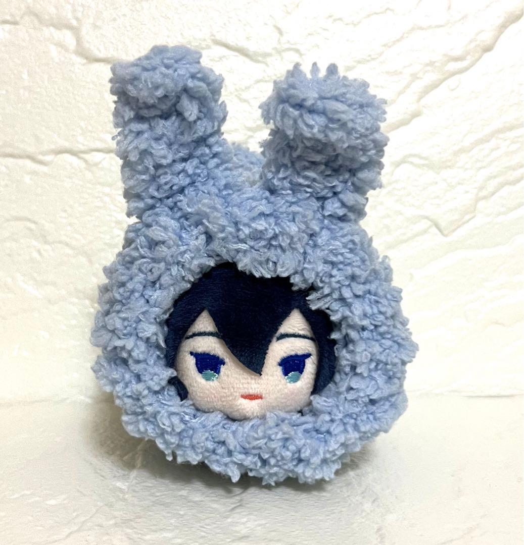 もちマス・もちころ用着ぐるみ【水色01】 - メルカリ