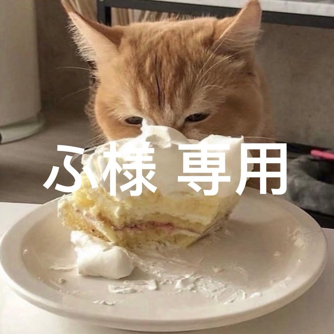 ふ speeder-nx-violet-1700-zoom.