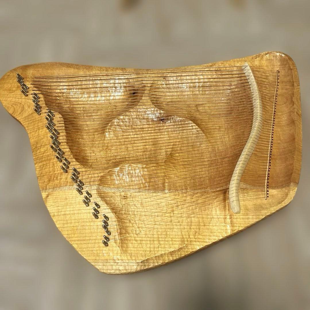 送料無料】タオライアー ソウルサウンドライアー - メルカリ