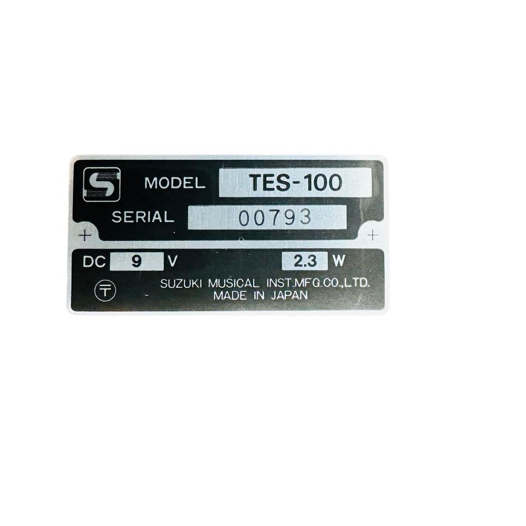 SUZUKI 大正琴 和楽 シンセサイザー TES-100 ハードケース付き