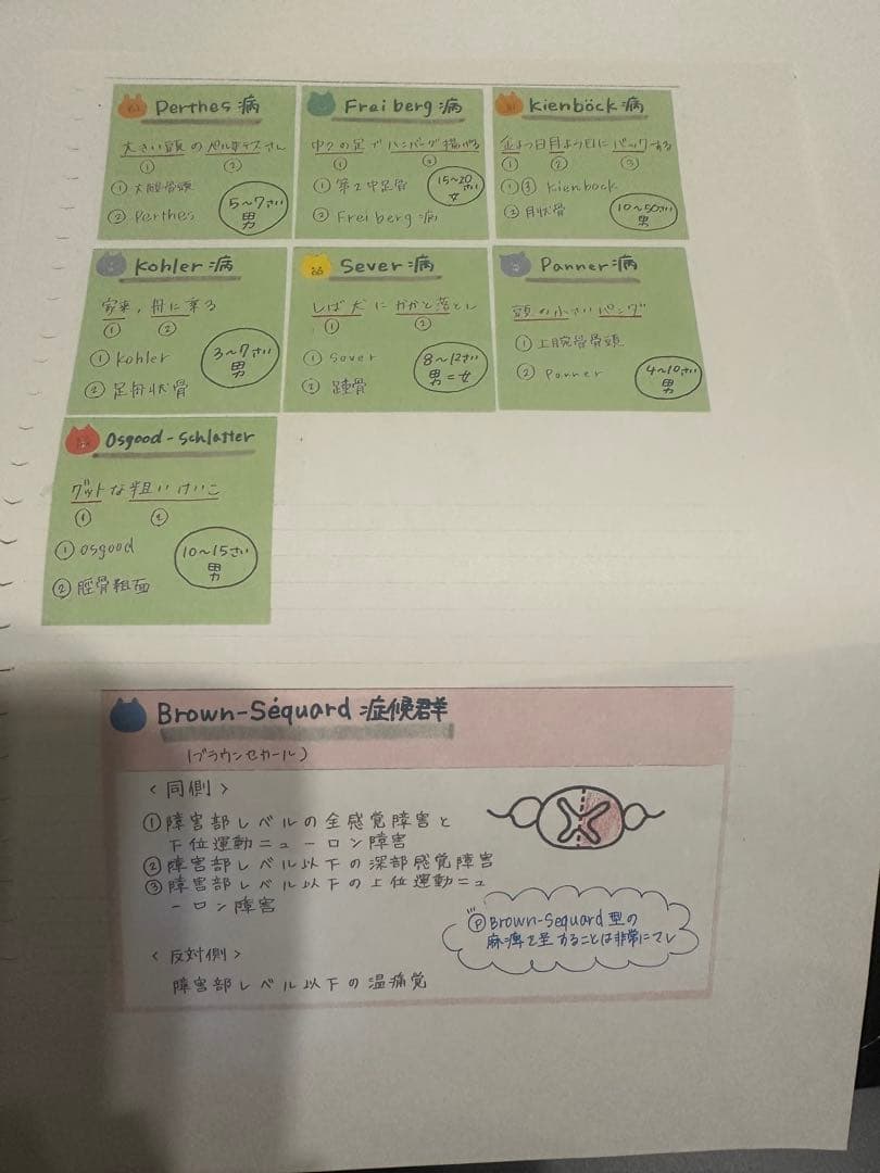 理学療法士・作業療法士まとめノートふせんノート(カラー)☆追加