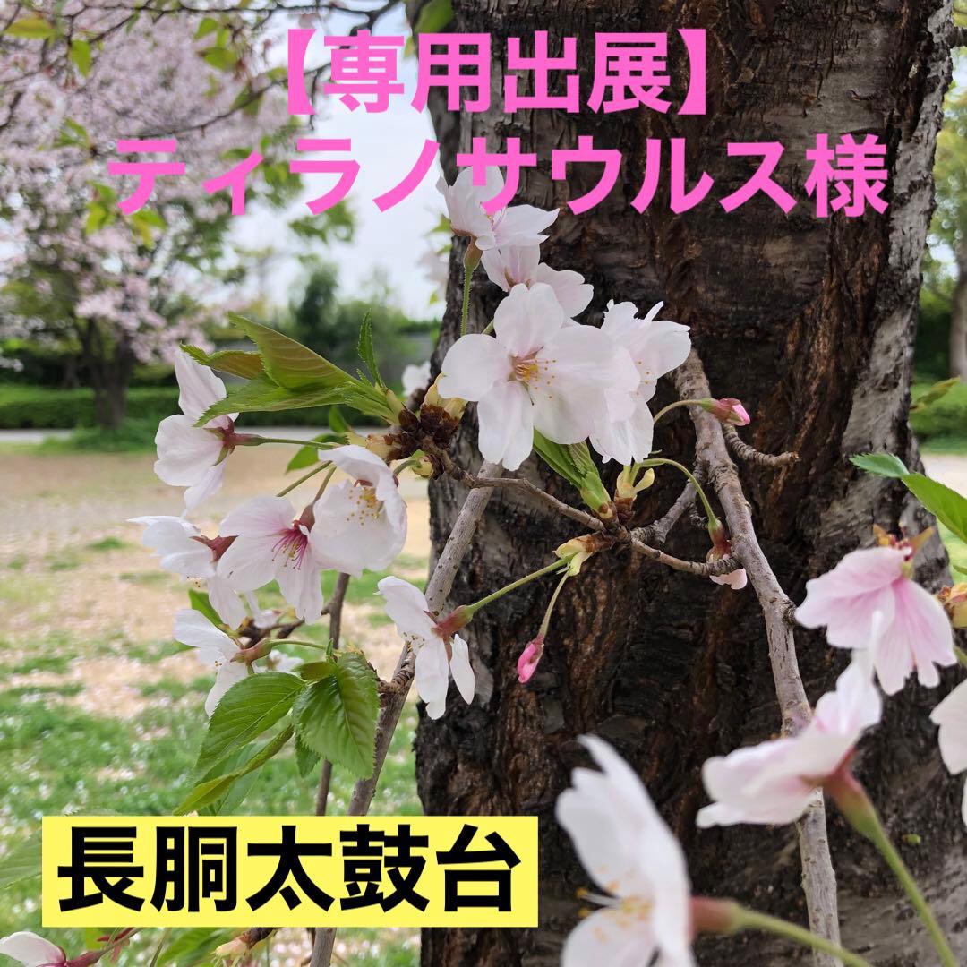 太鼓台 高祖太鼓台