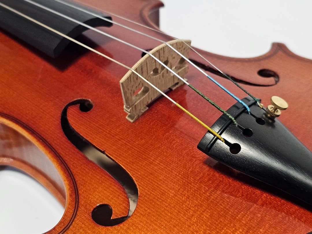 R.Paesold 803 1994 Violin 4/4 - メルカリ