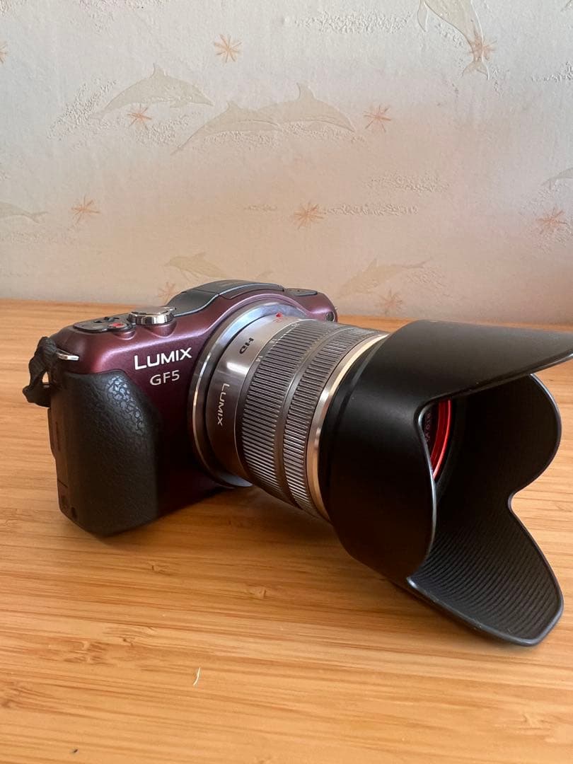 LUMIX GF5 パープル ミラーレス一眼 概要 デジタル一眼カメラ/ボディ DMC-GF5 | LUMIX（ルミックス