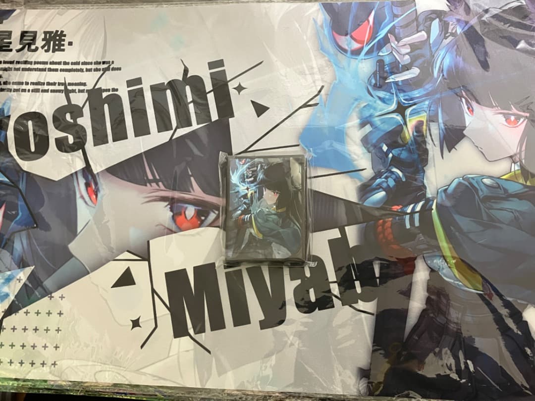 EATOS スリーブ　プレイマット　ゼンゼロ　雅 EATOS スリーブ プレイマット ゼンゼロ 雅 ゼンレスゾーンゼロ 星見雅