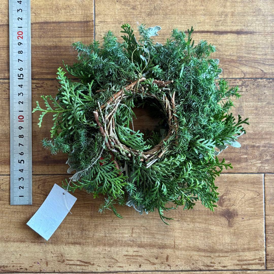 グリーン×赤い実 ナチュラル ドライフラワーリース MS 17cm ＊ 針葉樹