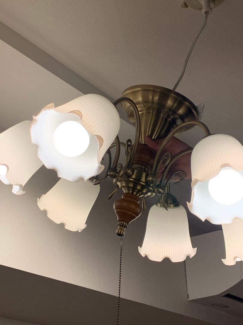 KOIZUM アンティーク シャンデリア 6灯 フラワー シェード