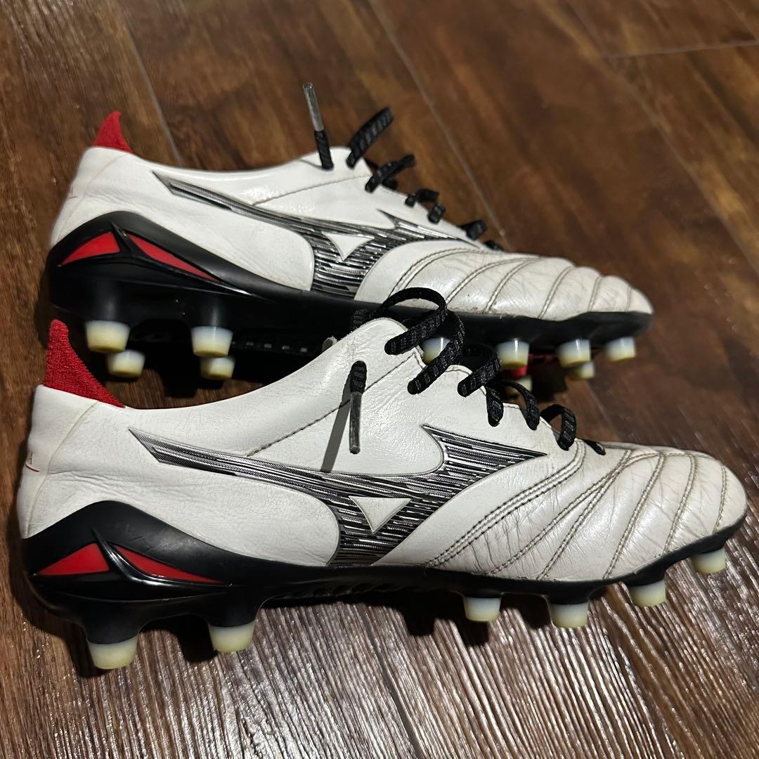 24.0cm モレリアネオ4