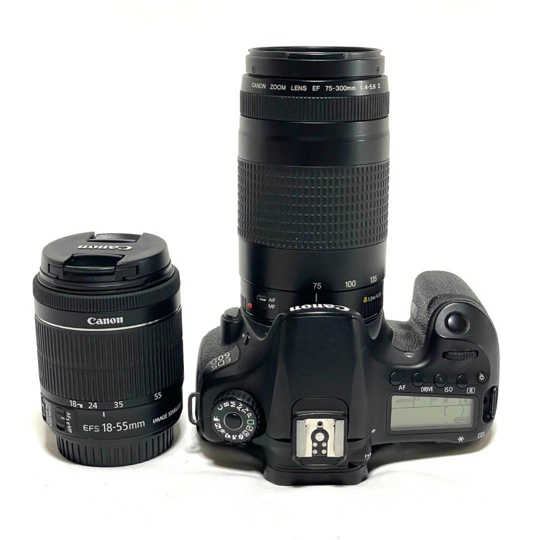 表現力を高めたい人へ❣️ Canon EOS 60D 超望遠ダブルレンズセット