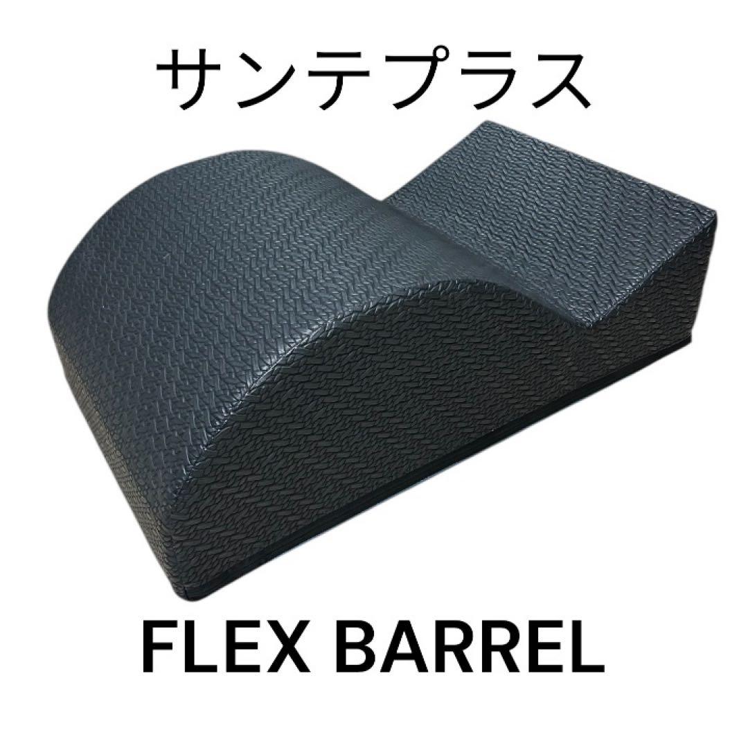 サンテプラス　フレックスバレル　クジラ型 サンテプラス フレックスバレル くじら型 – フィットネスショップ