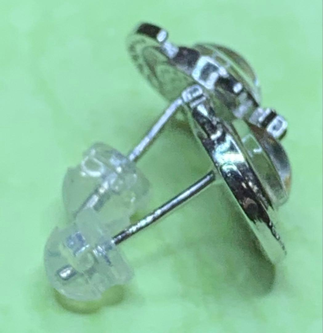 鉄質限石・メテオライト・スウェーデン産 SIVER925ピアス - メルカリ