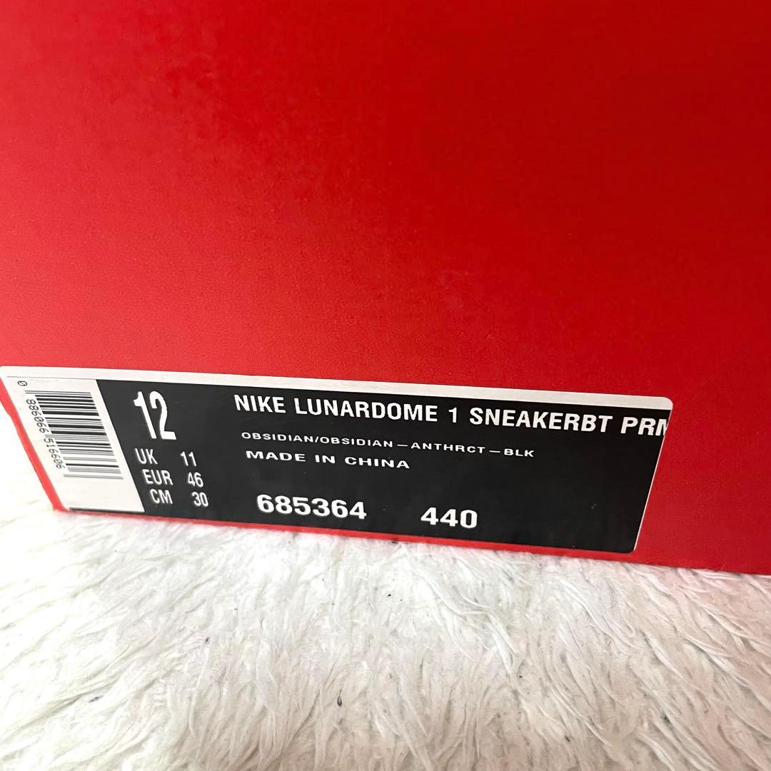 新品 NIKE ACG lunar dome 1 ウォータープルーフ 30cm - メルカリ