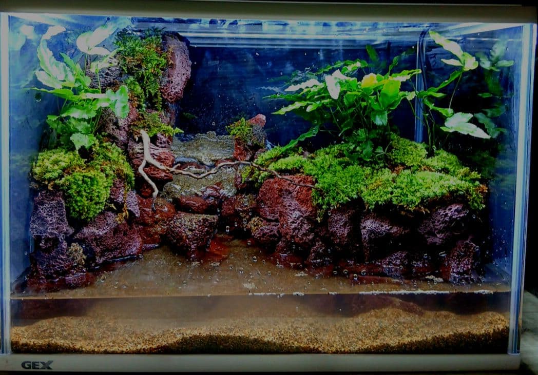アクアテラリウム 滝 完成品 GEX 赤溶岩石レイアウト - メルカリ