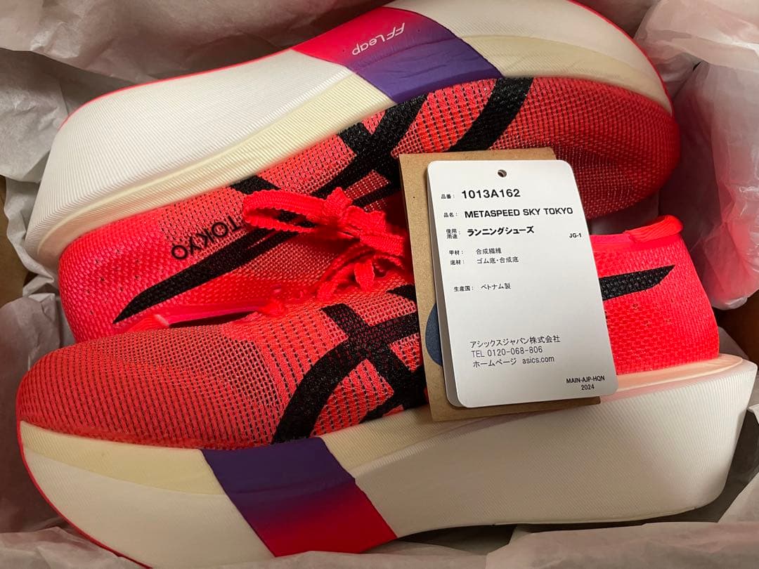 ASICS SPEED SKY TOKYO 25.0cm アシックス スペインひきこもり日記