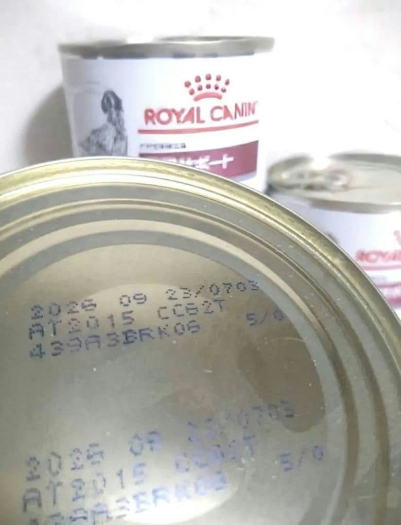 ROYAL CANIN ロイヤルカナン 腎臓サポート 缶詰 200g×6缶 - メルカリ