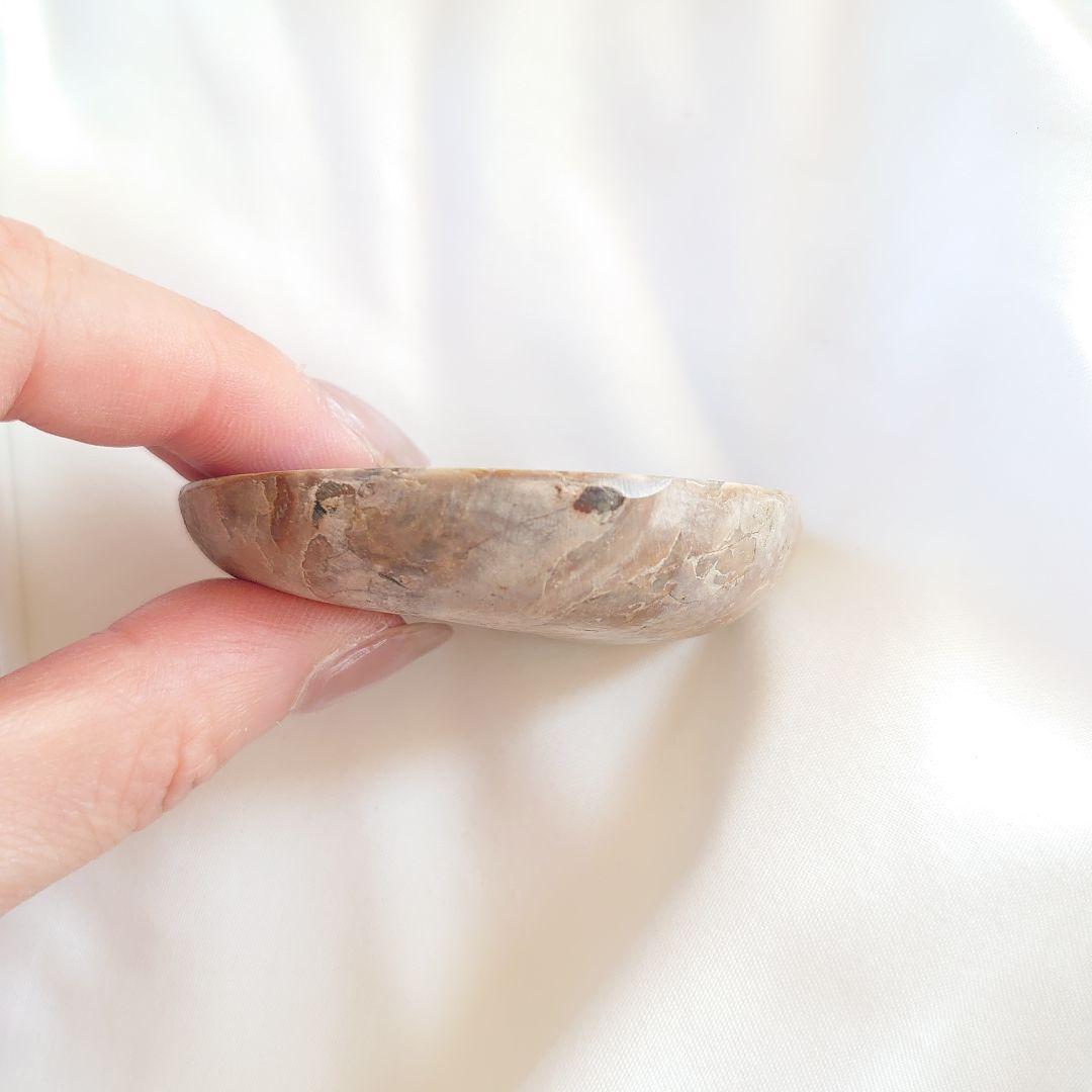 幸運の宝石アンモナイトの化石 約15cm 虹色 コレクション