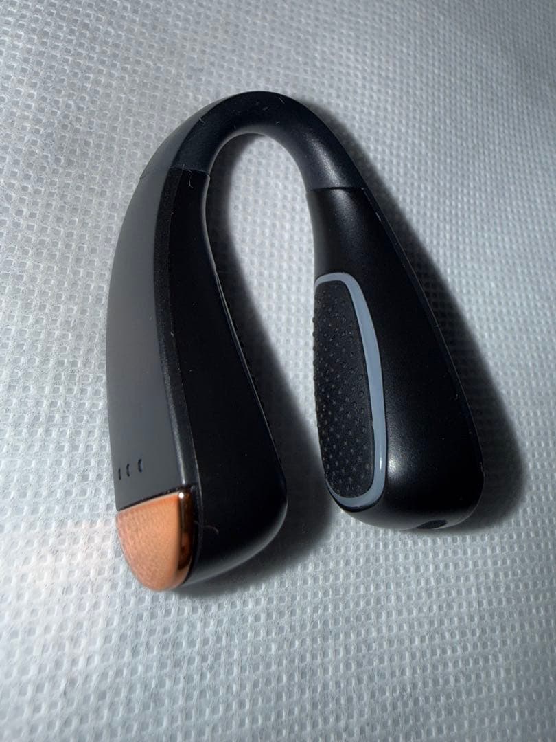 NIPLUX QNOSE 鼻専用EMS美顔器 高橋大輔ご愛用 森脇梨々夏鼻美顔