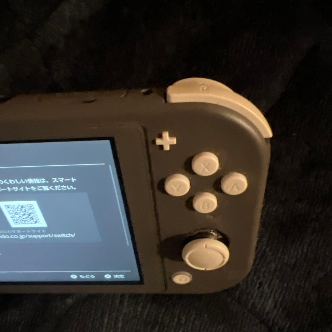 ジャンク】Nintendo Switch Lite 本体&専用充電器 - メルカリ