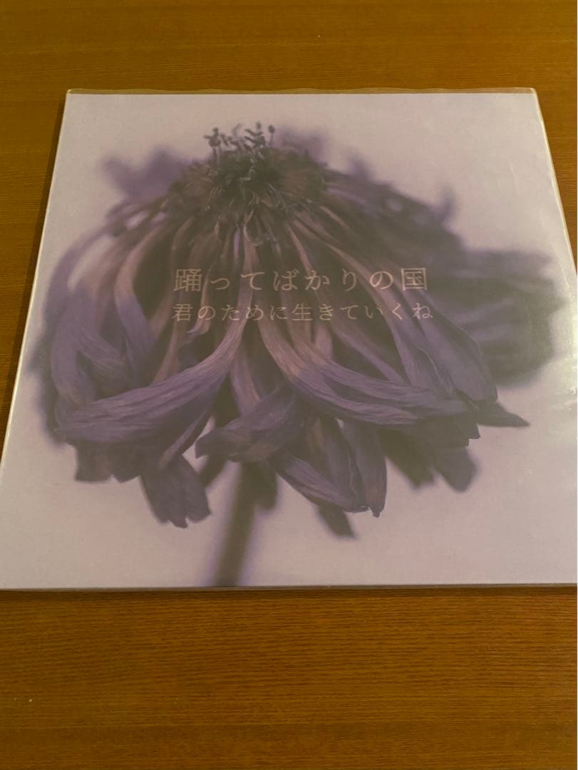 アナログ盤 踊ってばかりの国／君のために生きていくね