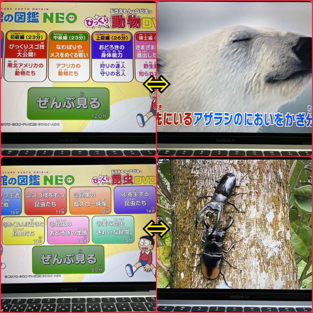 動作確認済】小学館の図鑑neo dvd 4枚 / 図鑑DVD / 学習教材 - メルカリ