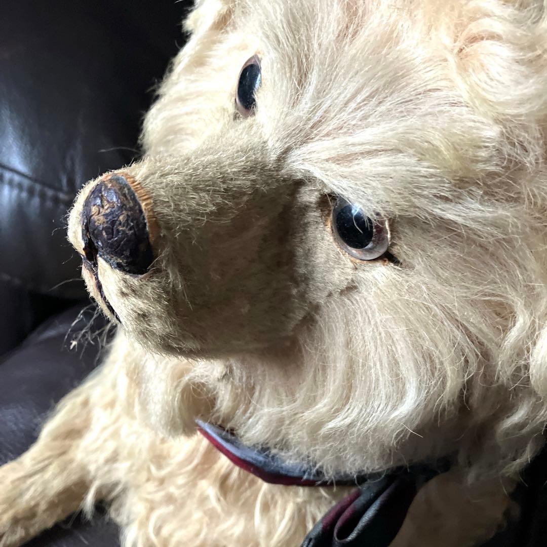 ♡フランスアンティーク LOULOU パジャマドッグ コンパニオンドッグ 布