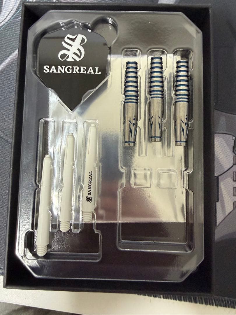 S-DARTS限定 VALKYRIE 坂口優希恵モデル 直筆サイン入り - メルカリ