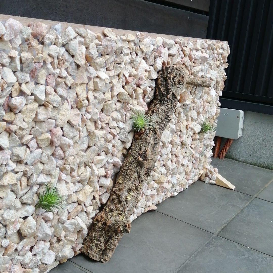 爬虫類ケージ用 バックボード - メルカリ