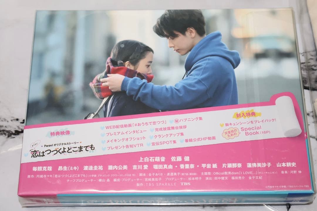 【新品未使用】恋はつづくよどこまでも 恋つづ DVD キャンバスミニトート付