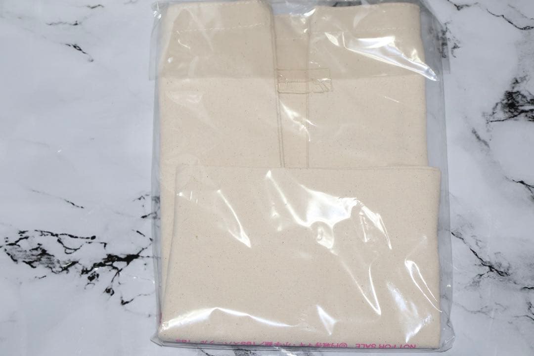 【新品未使用】恋はつづくよどこまでも 恋つづ DVD キャンバスミニトート付