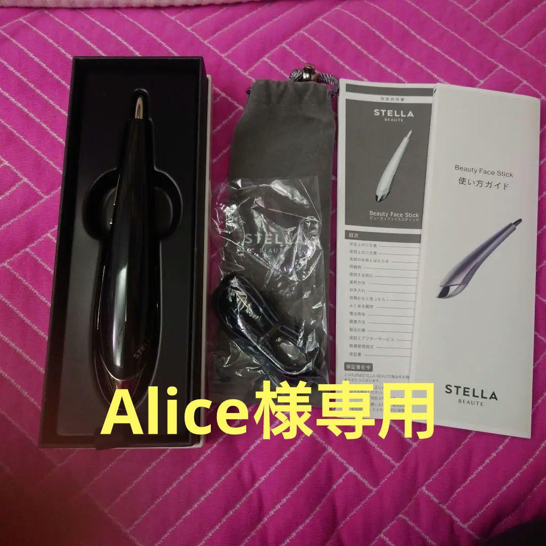 蝶標本 Xmasセール❗️カザリシロ ペア