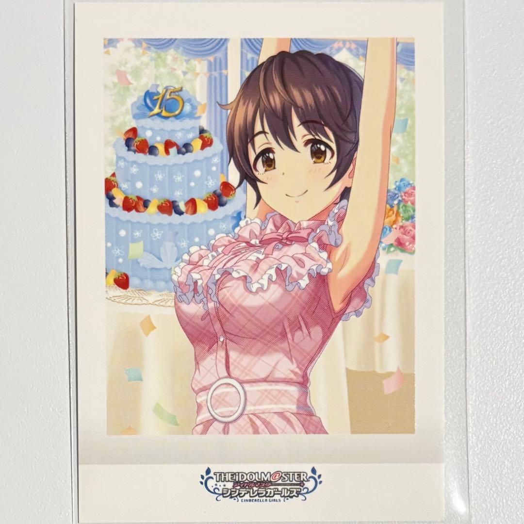 ころり様 リクエスト 2点 まとめ商品 - メルカリ