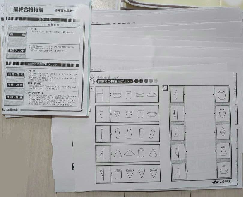 奨学社 洛南高附属小学校【最終合格特訓／最終直前合格特訓】6回分