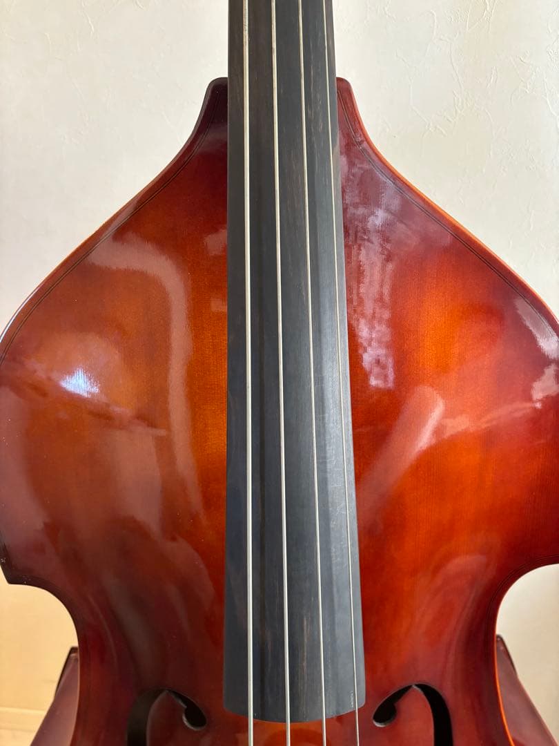 カルロジョルダーノ SB-150 ソフトケース付き （直接取引限定） - メルカリ