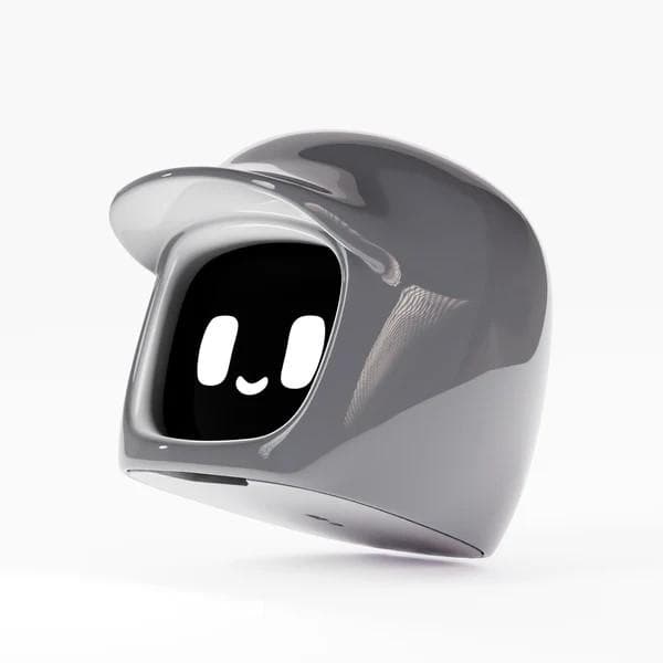 最新 ダサイ もち バージョン3 グレー DASAI MOCHI 新品未開封 - メルカリ