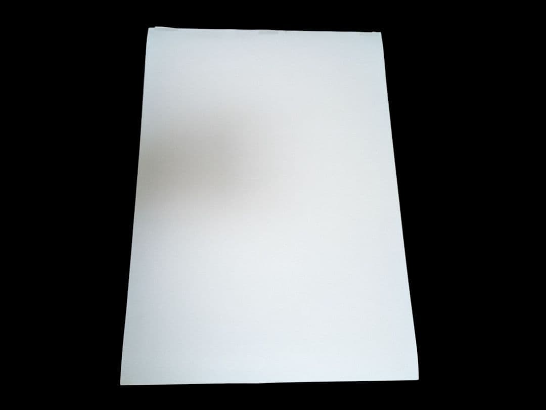 非売品販促】ヴァンパイア ダークストーカーコレクション ポスター B2