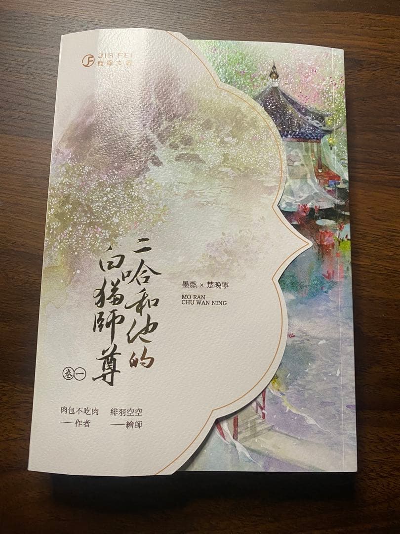 二哈和他的白猫師尊 全巻セット 繁体字 - メルカリ