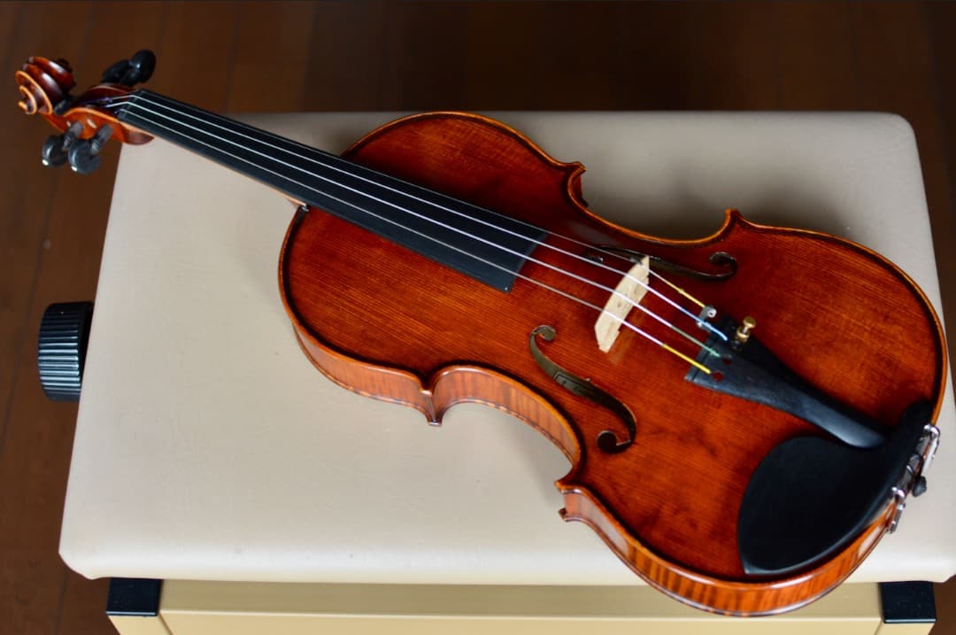 超美品】Gliga CRISTIAN バイオリン 4/4 - メルカリ